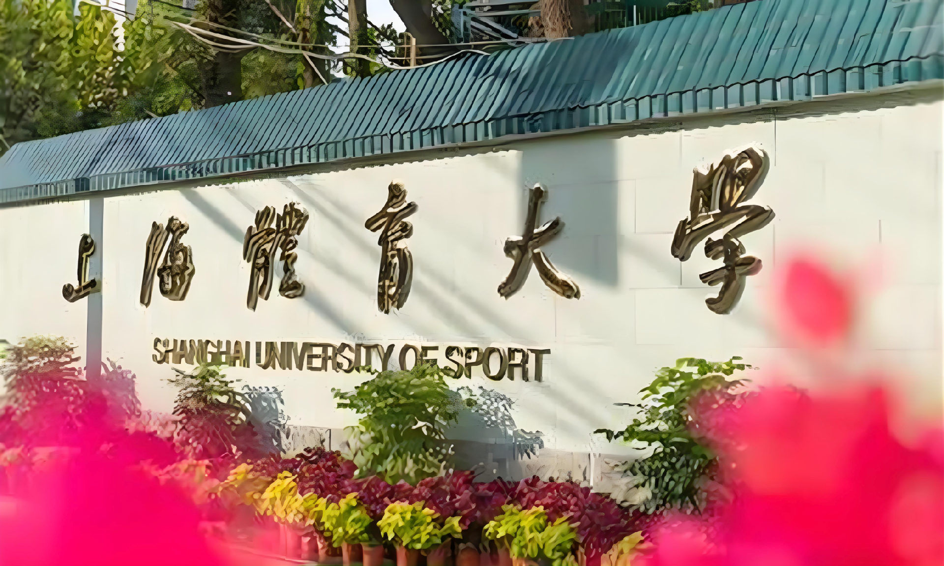 武校考大学