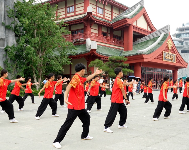 精武武校武当一梦活动