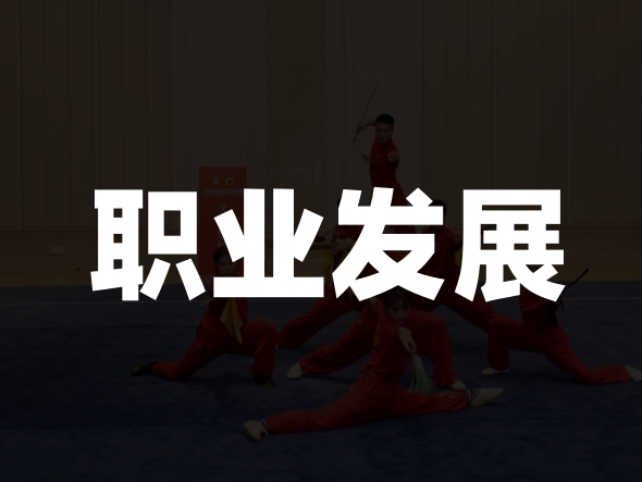 教学表演安保教练