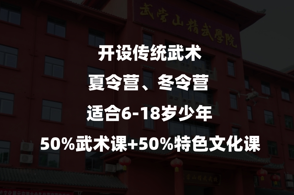 武术夏令营冬令营