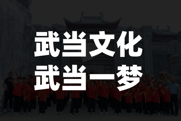 2025年7月武当一梦活动